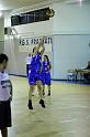Basket 252039
